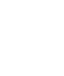 D2P Soccer logo